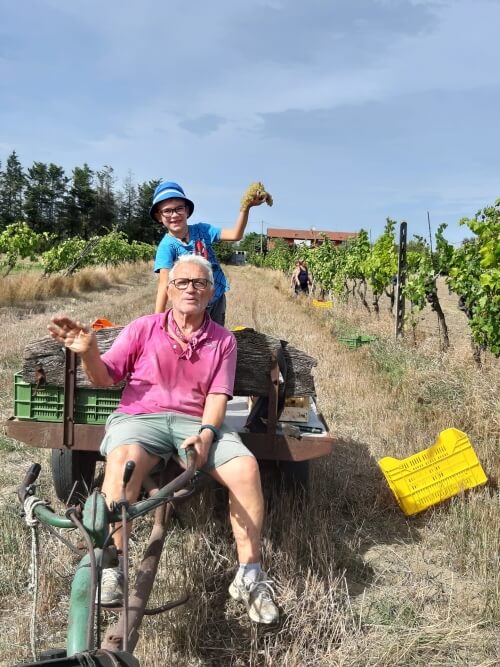 Vendemmia Terzo Carnaroli