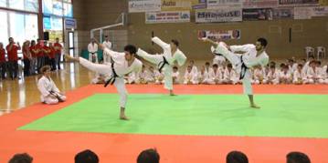 Budokan Bellaria I edizione