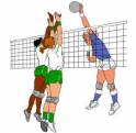pallavolo