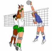 pallavolo