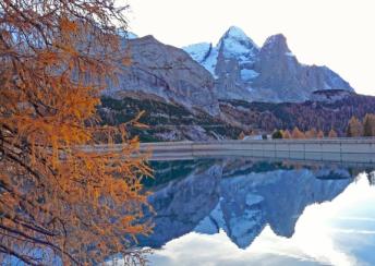 ALTO ADIGE