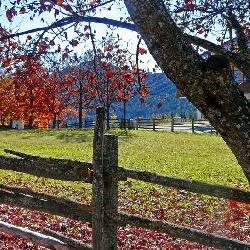 ALTO ADIGE - 55
