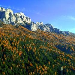 ALTO ADIGE - 59