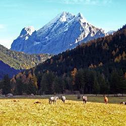 ALTO ADIGE - 60