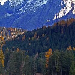 ALTO ADIGE - 61