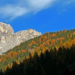 ALTO ADIGE - 62