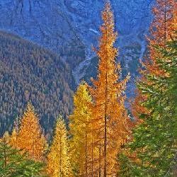 ALTO ADIGE - 65